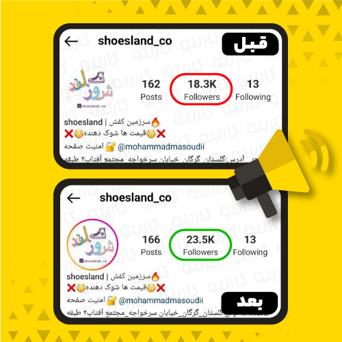 بازدهی تبلیغات برای پیج sheosland_co