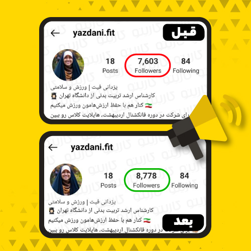 بازدهی تبلیغات برای پیج yazdani.fit