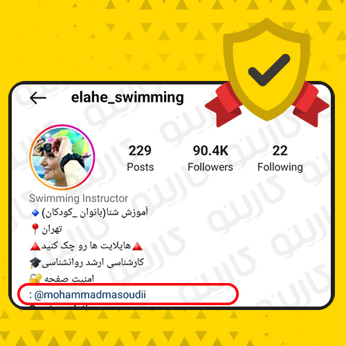 امنیت اینستاگرام پیج elahe_swimming