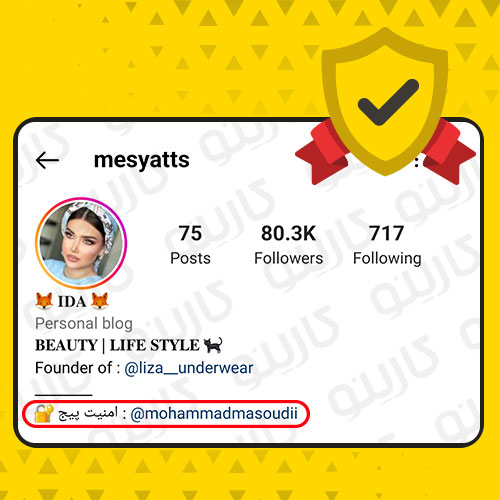 امنیت اینستاگرام پیج mesyatts