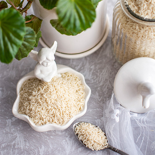 عکاسی از برنج