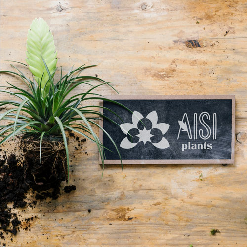 لوگو AISI-Plants